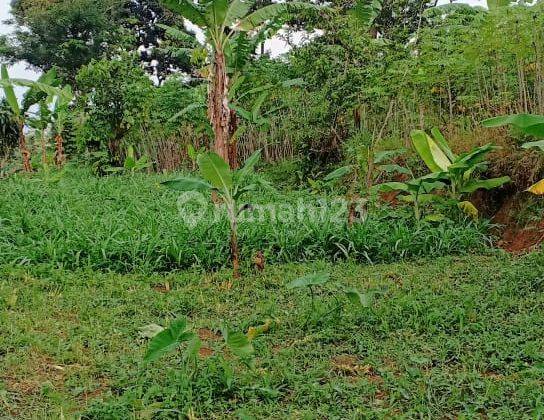 Tanah murah+bagus buat villa ataupun rumah diciburayut cigombong 2