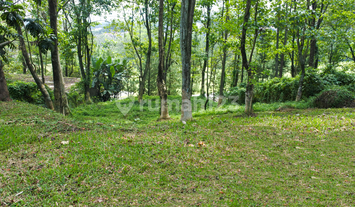 Dijual Kavling View Golf, Cluster Bukit Golf Hijau, Jl. Bukit Permata No. 10 - Sentul City