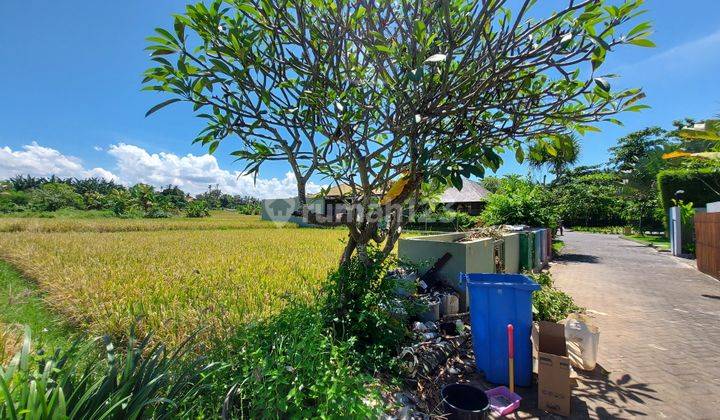 Tanah Gianyar Bali SHM Near Royal Purnama View Sawah 2