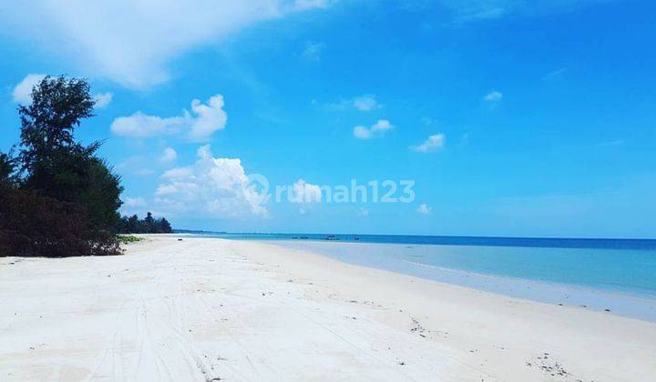 Belitung Sijuk Tanah 1.4Ha View Pantai Hadap Utara 575rb 1