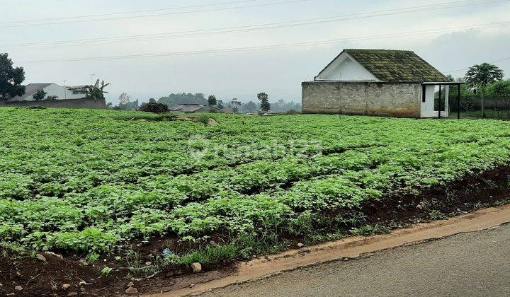 TANAH KOTAK LM 26,LOKASI PAKUHAJI CIMAHI,VIEW KOTA DAN GUNUNG 2