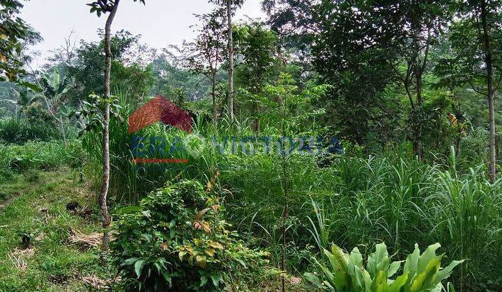 Tanah Luas Di Purwodadi Pasuruan, Jalan Tembusan Krematorium 2