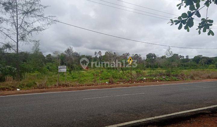 Tanah Di Nol Jalan Propinsi Di Bintan Timur Riau, Ada Pantai Pribadi 2