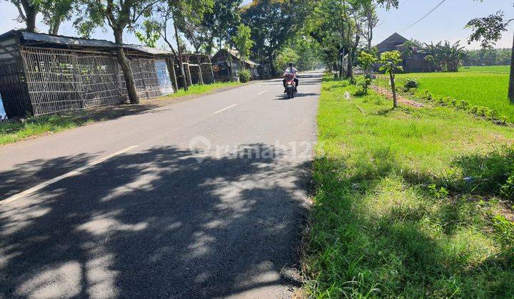 Tanah Industri di Gondang Nganjuk 1