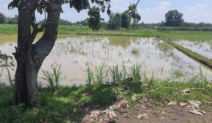 Tanah Industri di Jatikalen Jombang 1