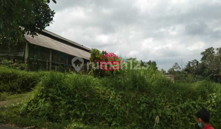 Tanah Jual Lokasi Tampak Siring Tanah Jual Lokasi Tampak Siring