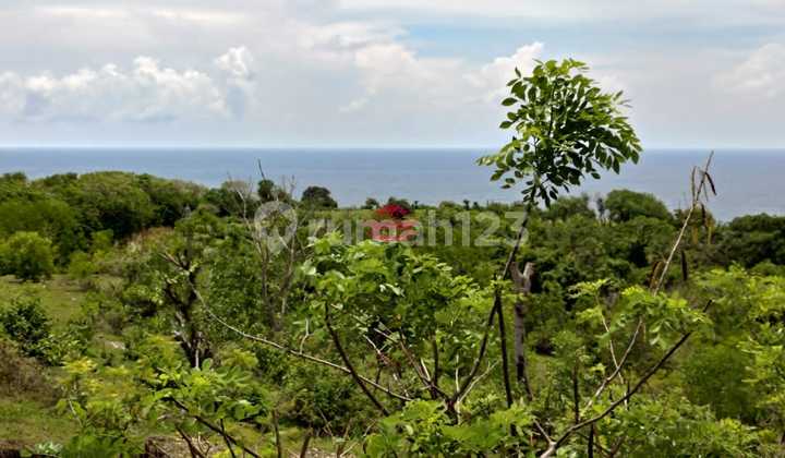 Land for Sale, Pandawa Location
