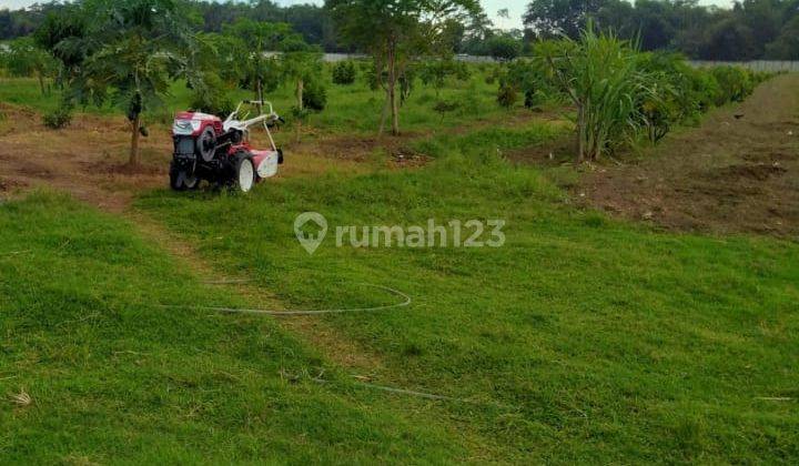 Tanah Kering Pagar Keliling di Gurah Kediri 1