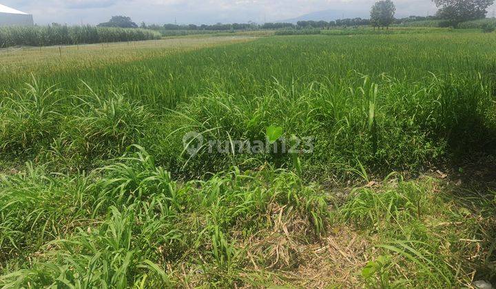 Tanah Industri Gurah Kediri, Banyak Industri di Sekitarnya 1