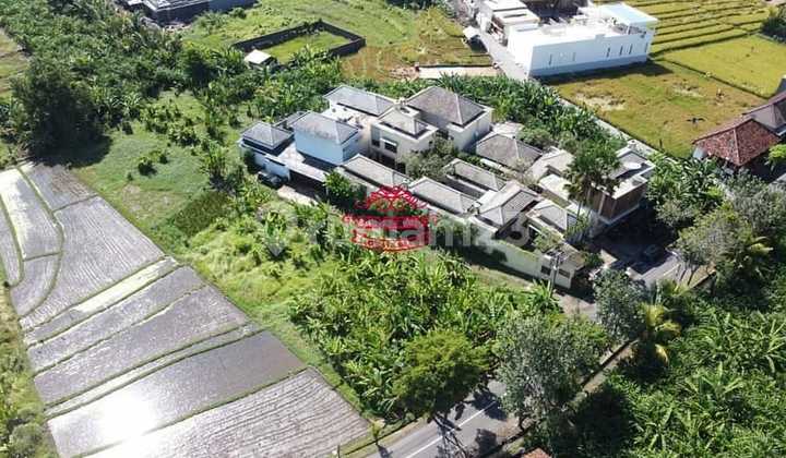 Land for Sale Location Tumbak Bayuh