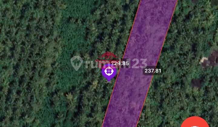 Tanah Jual Lokasi Pekutatan Tanah Jual Lokasi Pekutatan