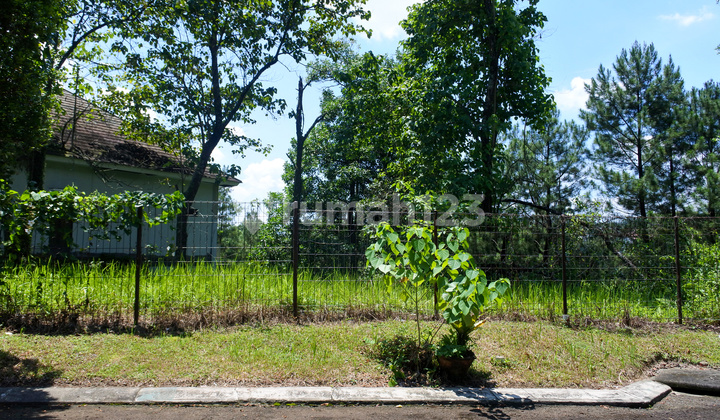 Kavling | Lokasi Strategis | View Golf | Cluster Bukit Golf Hijau, Jl. Bukit Zamrud III No. 5 - Sentul City