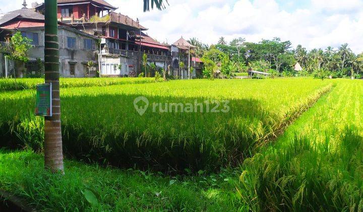 Tanah pinggir jalan aspal view sawah gunung lembah keren cocok vila 1