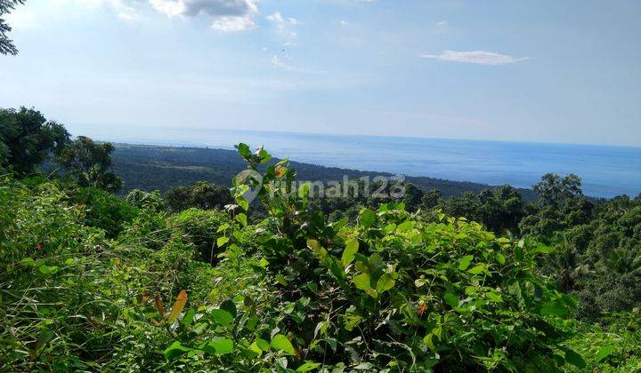 Dijual tanah di Kubutambahan Buleleng Bali 2