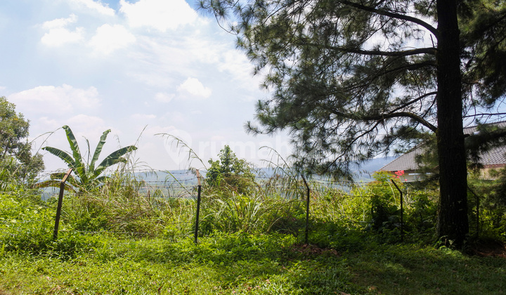 Kavling | Lokasi Strategis | View Bukit Hambalang | Cluster Northridge, Jl. Bukit Hambalang No. 63 - Sentul City