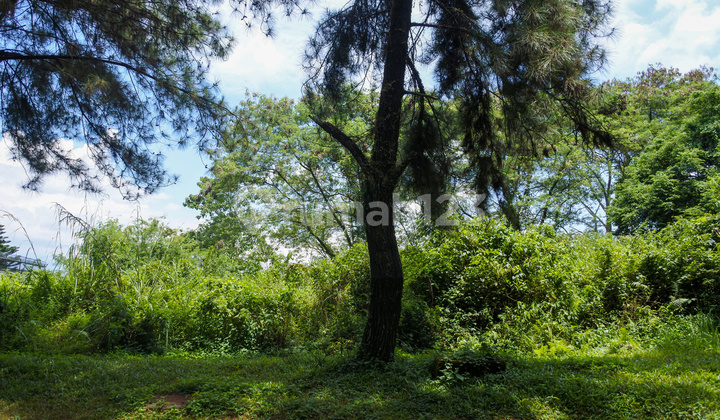 Kavling | Lokasi Strategis | View Bukit Hambalang | Cluster Northridge, Jl. Bukit Hambalang No. 21 - Sentul City Kavling | Lokasi Strategis | View Bukit Hambalang | Cluster Northridge, Jl. Bukit Hambalang No. 21 - Sentul City