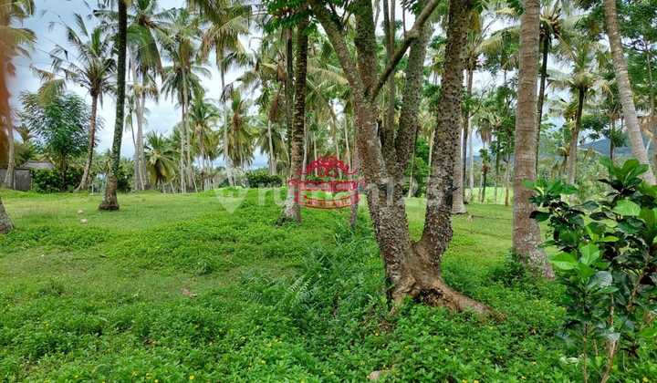 Tanah Jual Lokasi Selemadeg Tanah Jual Lokasi Selemadeg