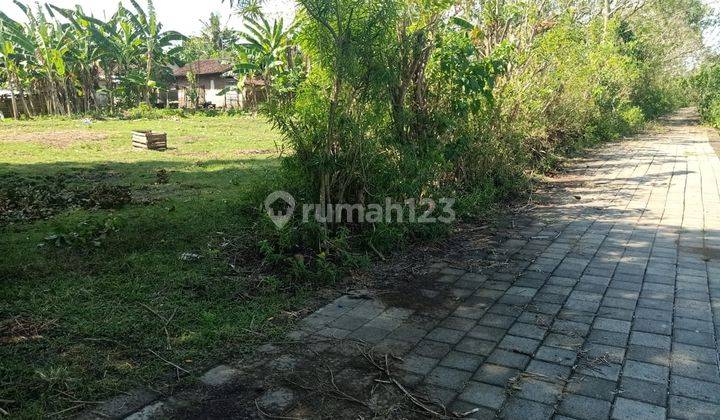 Cheap Land in Bali near Pengambengan Harbor 1