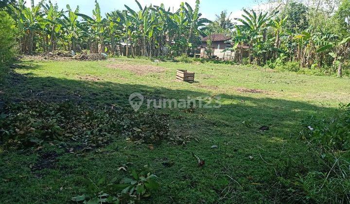 Cheap Land in Bali near Pengambengan Harbor 2