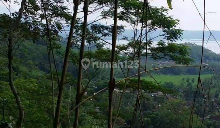 Lahan tanah Ambarawa Semarang view Rawa pening dan gunung 2