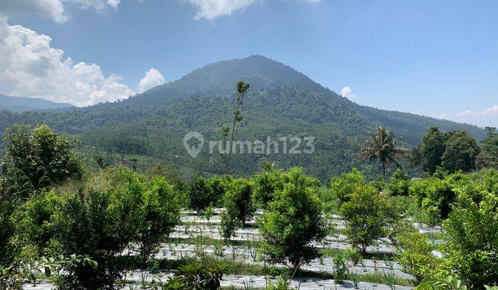 Dijual Tanah 25 Ha Cocok Untuk Argowisata Di Parung Kuda Sukabumi 2