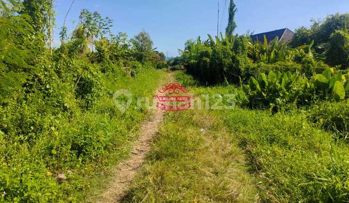 Tanah Jual Lokasi Pererenan