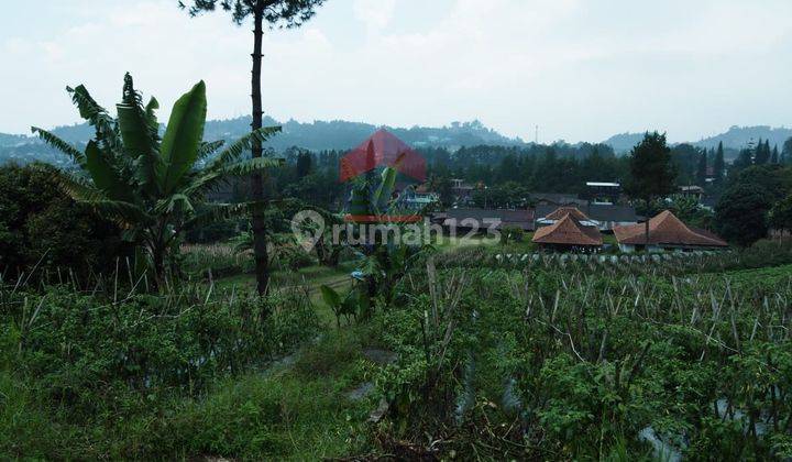 Tanah di Mainboard Lembang Tangkuban Parahu 2