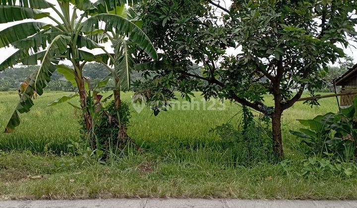 Tanah Sawah Di Jalan Mrisi Tamantirto Kasihan Bantul Yogyakarta 1