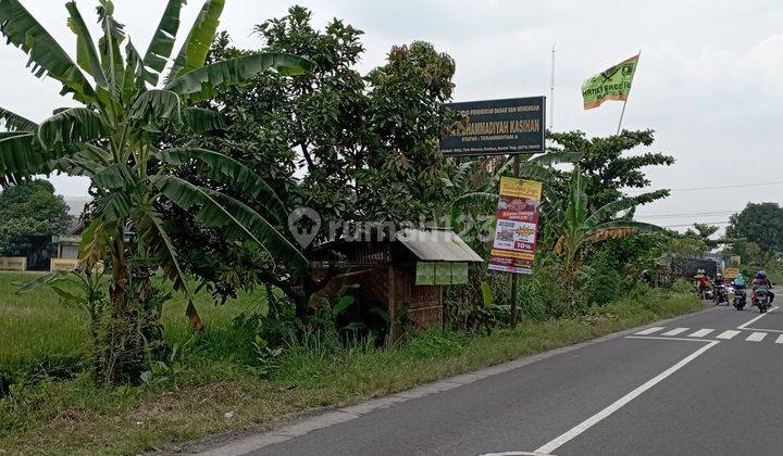 Tanah Sawah Di Jalan Mrisi Tamantirto Kasihan Bantul Yogyakarta 2