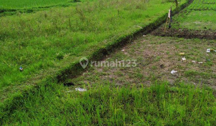 Land for rent with beautiful view in Central Ubud, cheap price 1