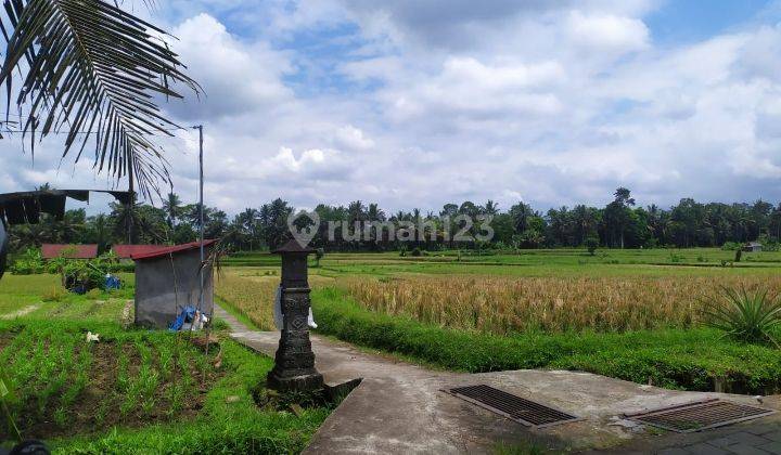 Land for rent with beautiful view in Central Ubud, cheap price 2