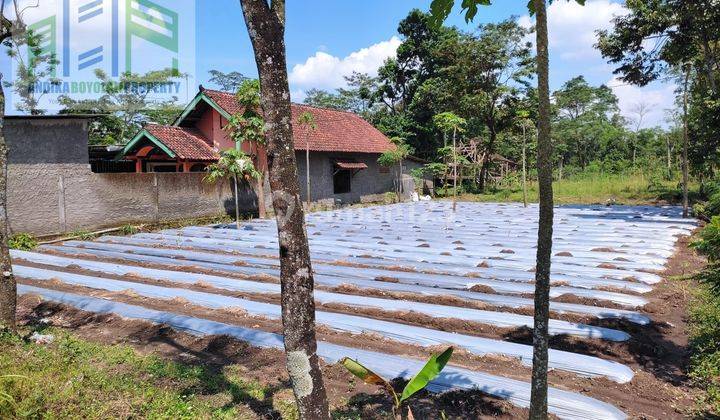 Tanah strategis pinggir jalan cocok untuk gudang di boyolali 2