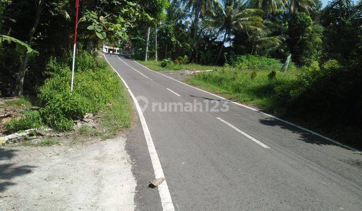 Tanah shmp pekarangan/Bisa kaplingan Sangat strategis dan prospek di jogja barat 1