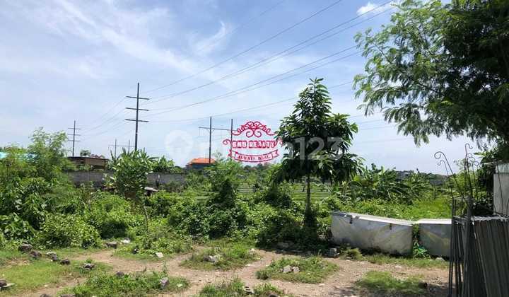 Land for Sale Location Teuku Umar