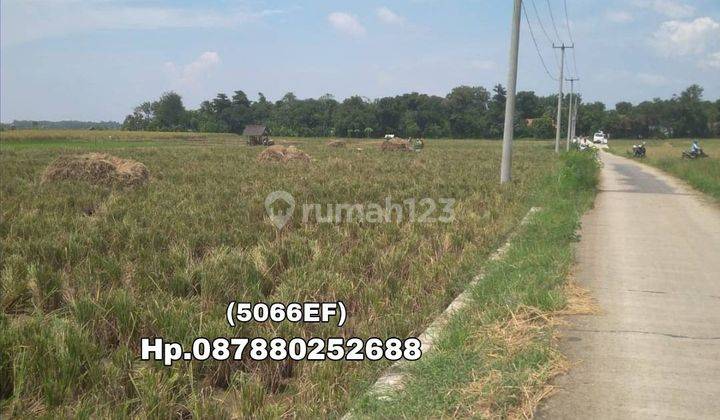  5066ef Lahan Sawah Pinggir Jalan Indramayu Jawa Barat  1