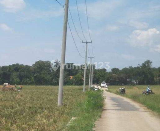  5066ef Lahan Sawah Pinggir Jalan Indramayu Jawa Barat  2