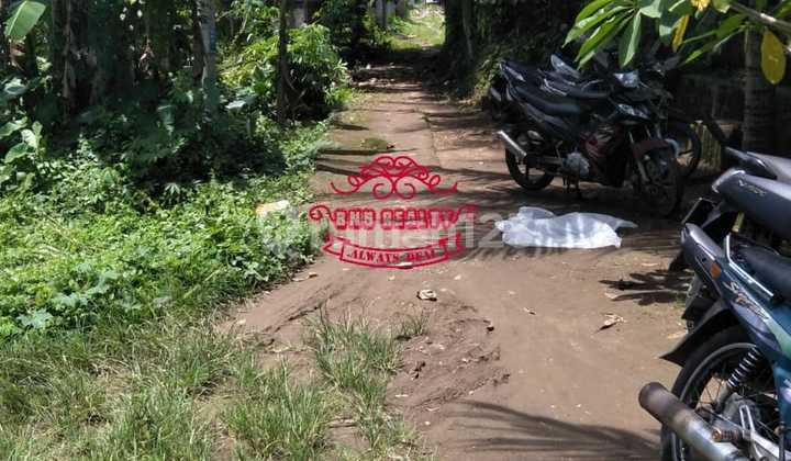 Tanah Jual Lokasi Sukawati