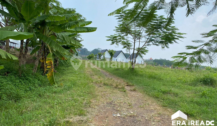 Tanah Luas Siap bangun Dawung Kedungpane Mijen Semarang 2