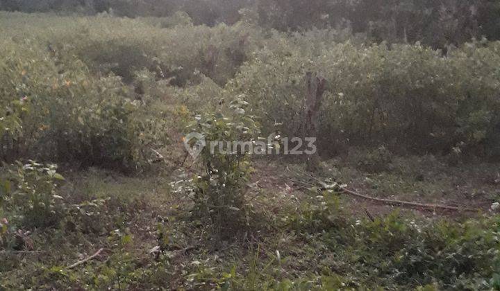 Tanah zona pergudangan di komodo labuan bajo, lokasi bagus, cocok untuk usaha 2