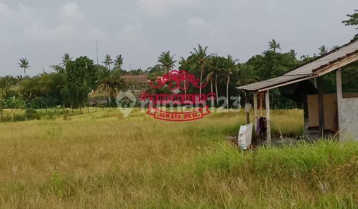 Tanah Jual Lokasi Pantai Nyayi Tanah Jual Lokasi Pantai Nyayi