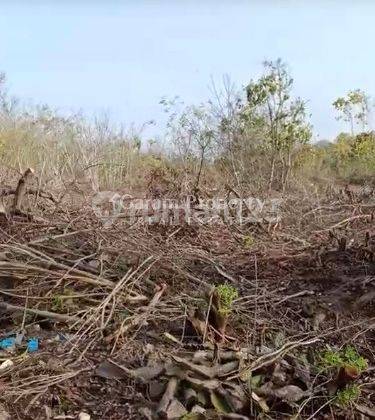 Strategic Land Suitable for Villas in Kutuh (PD) 2