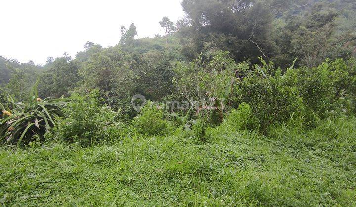 Di Jual Tanah Sudah Turun Harga Daerah Ciater Cocok Untuk Di Bangun Villa 2