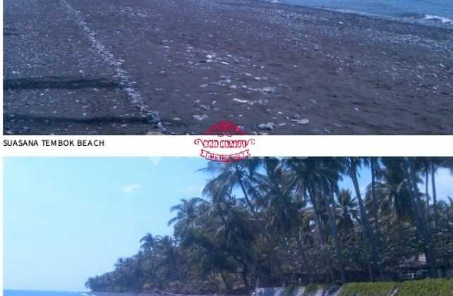 Land for Sale, Tembok Location