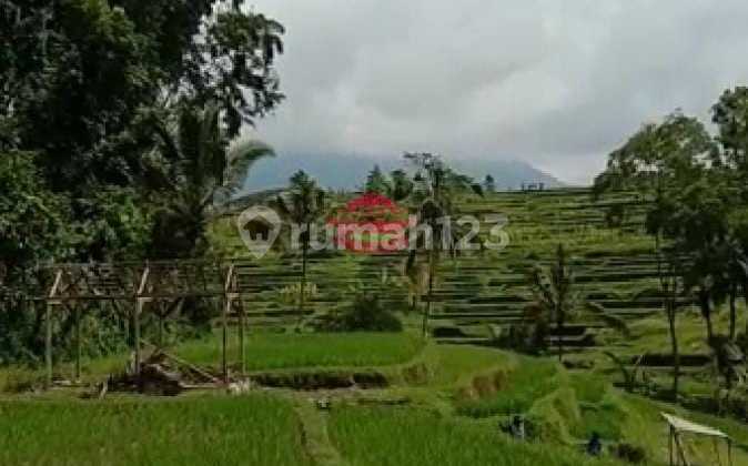 Tanah Jual Lokasi Penebel Tanah Jual Lokasi Penebel