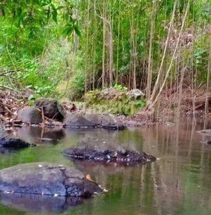 Tanah Cantik Los Sungai di Tabanan 2