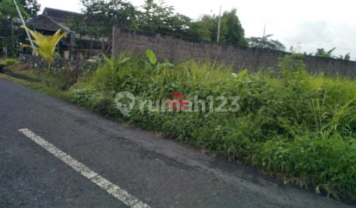 Tanah Jual Lokasi Umalas