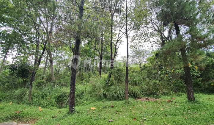 Cavling in an exclusive cluster with a view of the mountains in Sentul City. Cavling in an exclusive cluster with a view of the mountains in Sentul City.