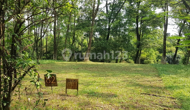 Back position of the green area Back position of the green area