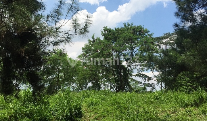 Ready to build lot in Sentul City. Ready to build lot in Sentul City.