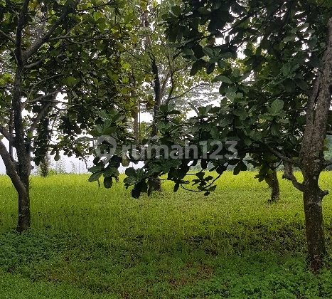 Cavling view Mount Sentul City Cavling view Mount Sentul City